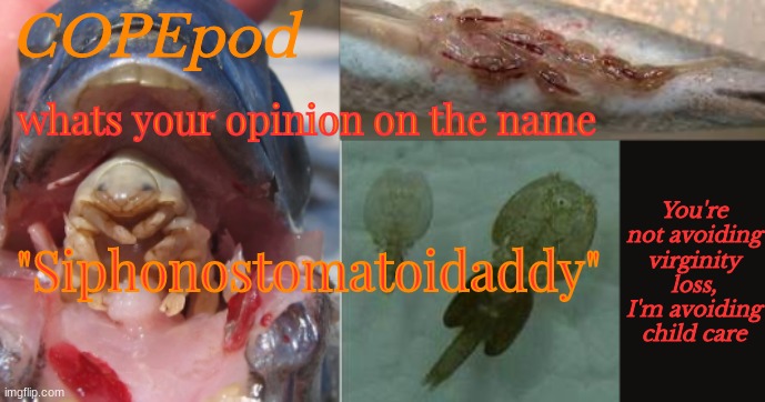 COPEpod's announcement template | whats your opinion on the name; "Siphonostomatoidaddy" | image tagged in copepod's announcement template | made w/ Imgflip meme maker