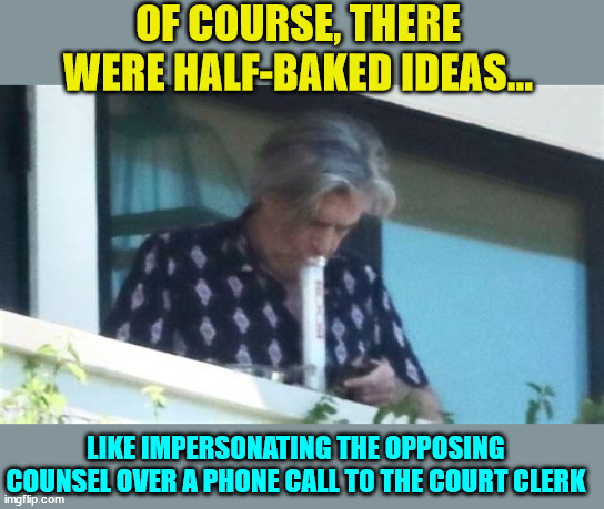 Hunter Biden lawyer preparing for court... | OF COURSE, THERE WERE HALF-BAKED IDEAS... LIKE IMPERSONATING THE OPPOSING COUNSEL OVER A PHONE CALL TO THE COURT CLERK | image tagged in hunter biden,pothead,lawyers | made w/ Imgflip meme maker