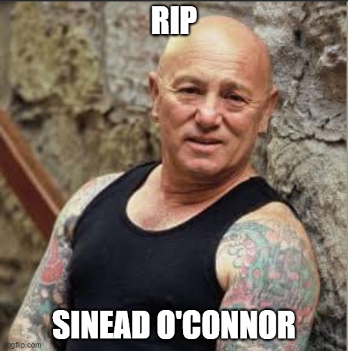 Vale Sinead | RIP; SINEAD O'CONNOR | image tagged in funny | made w/ Imgflip meme maker
