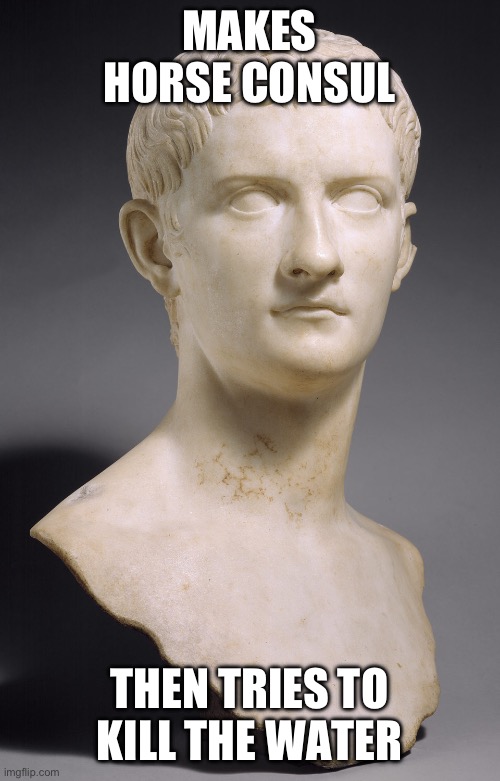 Caligula bust | MAKES HORSE CONSUL; THEN TRIES TO KILL THE WATER | image tagged in caligula bust | made w/ Imgflip meme maker