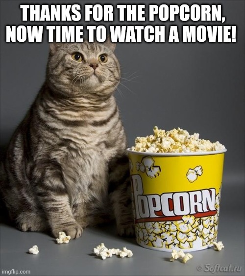 Cat eating popcorn | THANKS FOR THE POPCORN, NOW TIME TO WATCH A MOVIE! | image tagged in cat eating popcorn | made w/ Imgflip meme maker