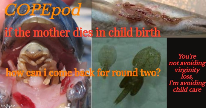COPEpod's announcement template | if the mother dies in child birth; how can i come back for round two? | image tagged in copepod's announcement template | made w/ Imgflip meme maker