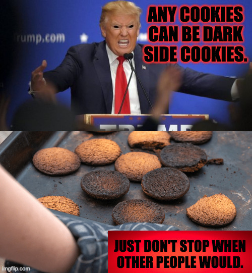 Family recipe. | ANY COOKIES CAN BE DARK SIDE COOKIES. JUST DON'T STOP WHEN
OTHER PEOPLE WOULD. | image tagged in evil trump,memes,dark side cookies,family recipe | made w/ Imgflip meme maker