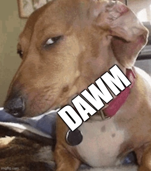 Side eye dog | DAWM | image tagged in side eye dog | made w/ Imgflip meme maker