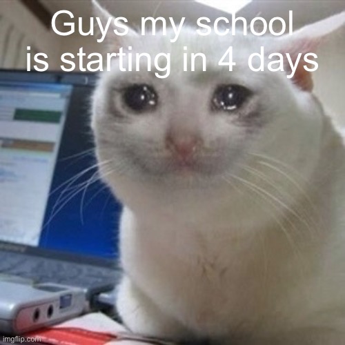 School is coming | Guys my school is starting in 4 days | image tagged in crying cat,school,summer | made w/ Imgflip meme maker