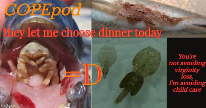 COPEpod's announcement template | they let me choose dinner today; =D | image tagged in copepod's announcement template | made w/ Imgflip meme maker