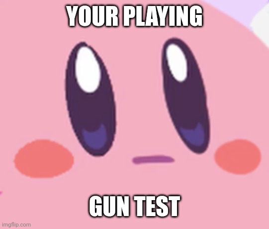 Blank Kirby Face | YOUR PLAYING GUN TEST | image tagged in blank kirby face | made w/ Imgflip meme maker
