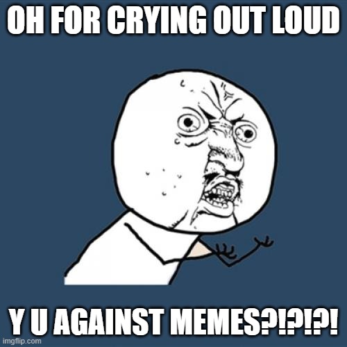 bruh bruh bruh bruh bruh. | OH FOR CRYING OUT LOUD; Y U AGAINST MEMES?!?!?! | image tagged in memes,y u no | made w/ Imgflip meme maker