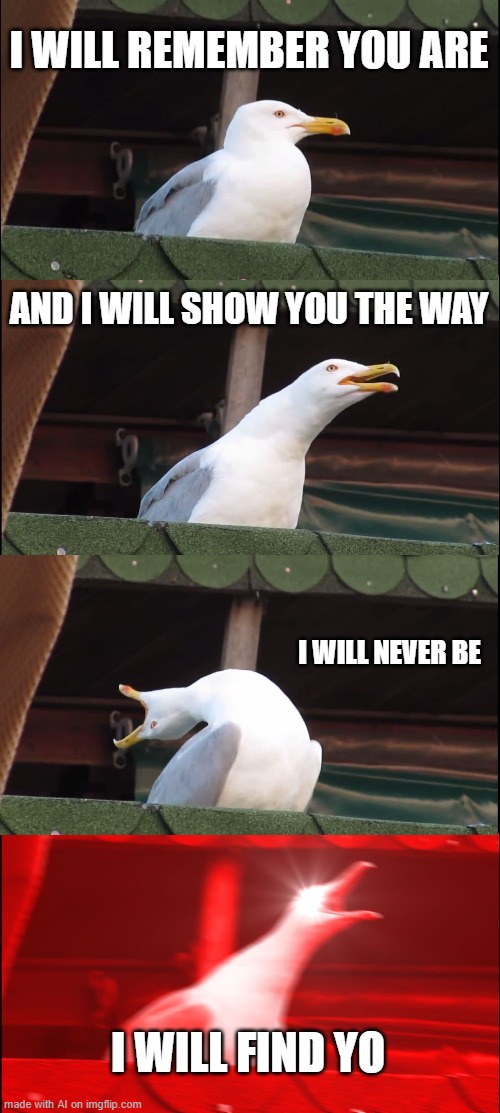 what the... | I WILL REMEMBER YOU ARE; AND I WILL SHOW YOU THE WAY; I WILL NEVER BE; I WILL FIND YO | image tagged in memes,inhaling seagull | made w/ Imgflip meme maker