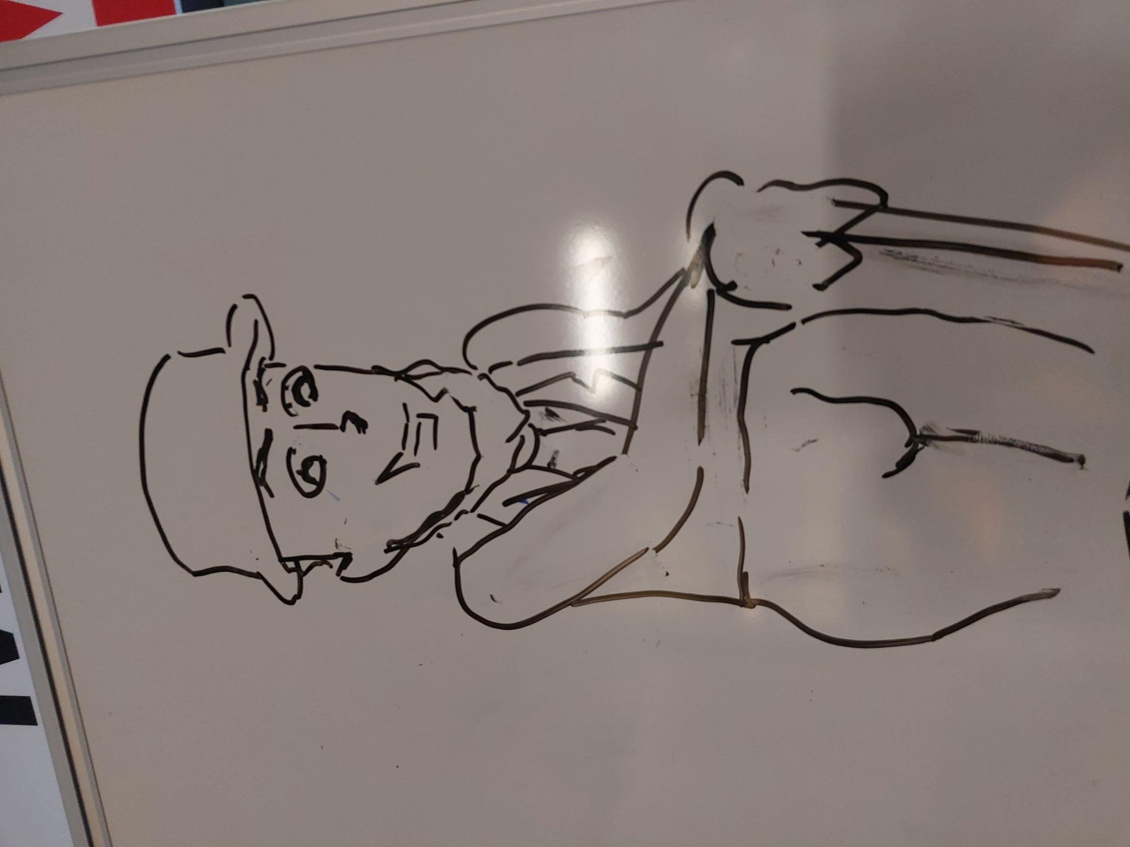 High Quality Axel whiteboard drawing Blank Meme Template