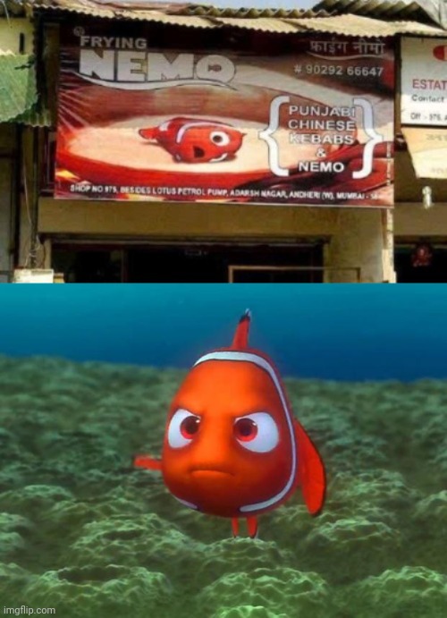The Frying Nemo restaurant | image tagged in nemo,frying nemo,restaurant,food,memes,foods | made w/ Imgflip meme maker