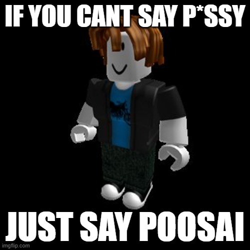 Roblox Swearing Meme | IF YOU CANT SAY P*SSY; JUST SAY POOSAI | image tagged in roblox meme | made w/ Imgflip meme maker