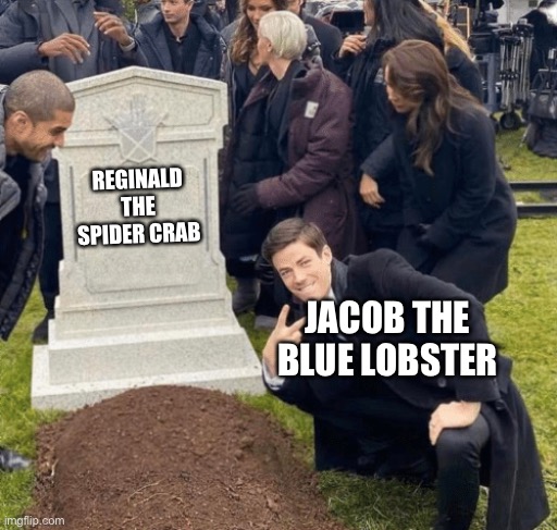 He finally did it | REGINALD THE SPIDER CRAB; JACOB THE BLUE LOBSTER | image tagged in grant gustin over grave | made w/ Imgflip meme maker