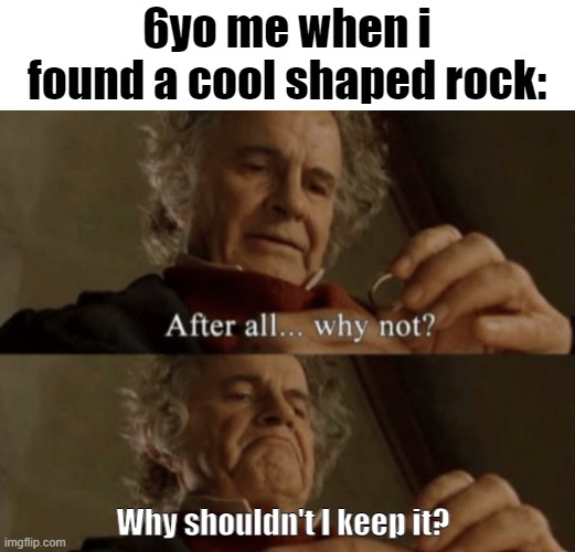 Childhood, am I right ? | 6yo me when i found a cool shaped rock:; Why shouldn't I keep it? | image tagged in after all why not | made w/ Imgflip meme maker