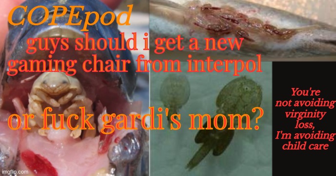 very hard decision | guys should i get a new gaming chair from interpol; or fuck gardi's mom? | image tagged in copepod's announcement template | made w/ Imgflip meme maker