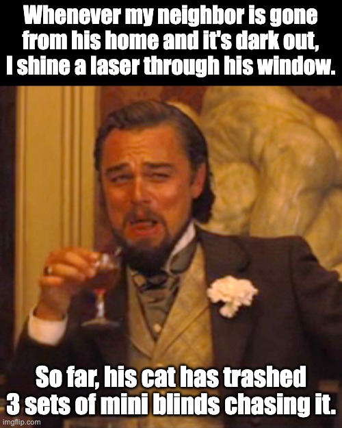 Evil | Whenever my neighbor is gone from his home and it's dark out, I shine a laser through his window. So far, his cat has trashed 3 sets of mini blinds chasing it. | image tagged in memes,laughing leo | made w/ Imgflip meme maker