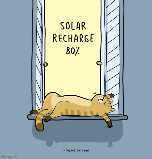 A Cat's Way Of Thinking | image tagged in memes,comics/cartoons,cats,window,solar,charger | made w/ Imgflip meme maker