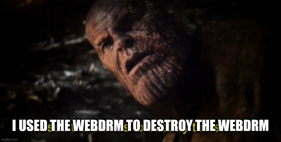 I used the stones to destroy the stones | I USED THE WEBDRM TO DESTROY THE WEBDRM | image tagged in i used the stones to destroy the stones | made w/ Imgflip meme maker