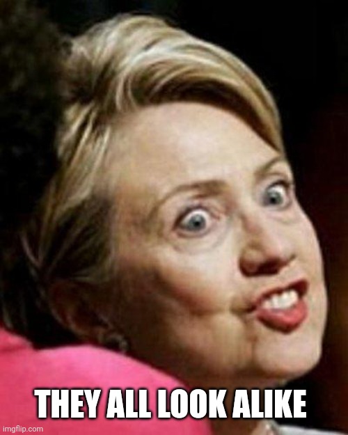 Hillary Clinton Fish | THEY ALL LOOK ALIKE | image tagged in hillary clinton fish | made w/ Imgflip meme maker