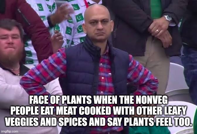 Disappointed Man | FACE OF PLANTS WHEN THE NONVEG PEOPLE EAT MEAT COOKED WITH OTHER LEAFY VEGGIES AND SPICES AND SAY PLANTS FEEL TOO. | image tagged in disappointed man | made w/ Imgflip meme maker