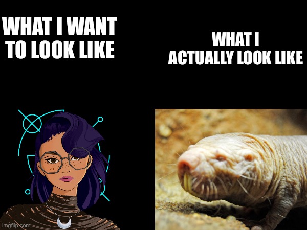 trends. i hate them but i still do them. | WHAT I ACTUALLY LOOK LIKE; WHAT I WANT TO LOOK LIKE | image tagged in e,ha i had another chance to make fun of my ugliness | made w/ Imgflip meme maker