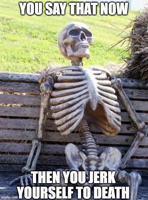 YOU SAY THAT NOW THEN YOU JERK YOURSELF TO DEATH | image tagged in memes,waiting skeleton | made w/ Imgflip meme maker