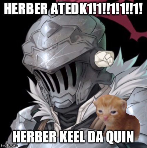 Goblin Slayer | HERBER ATEDK1!1!!1!1!!1! HERBER KEEL DA QUIN | image tagged in goblin slayer | made w/ Imgflip meme maker