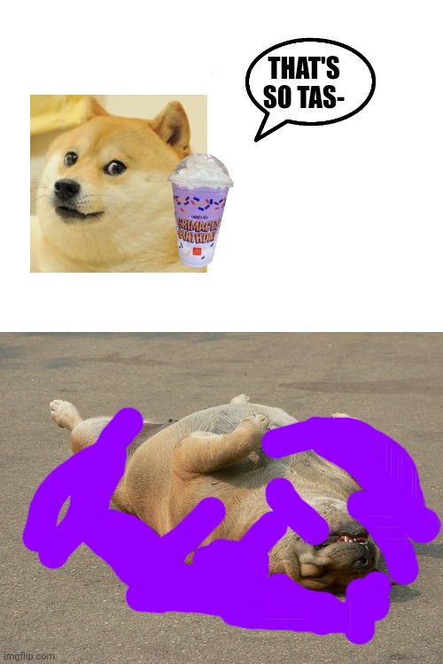 GRIMACE SHAKE | THAT'S SO TAS- | image tagged in dog playing dead,grimace | made w/ Imgflip meme maker