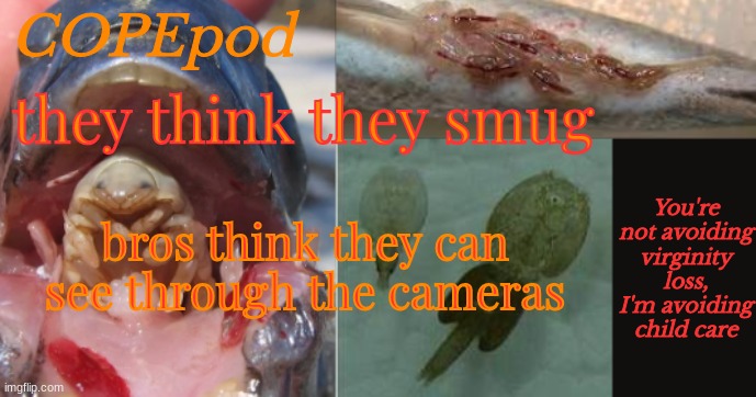 COPEpod's announcement template | they think they smug; bros think they can see through the cameras | image tagged in copepod's announcement template | made w/ Imgflip meme maker