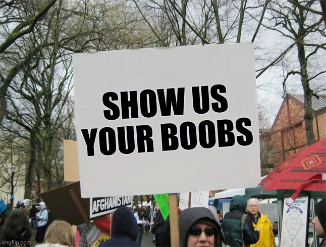 Blank protest sign | SHOW US YOUR BOOBS | image tagged in blank protest sign | made w/ Imgflip meme maker