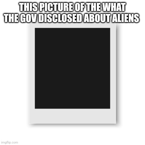THIS PICTURE OF THE WHAT THE GOV DISCLOSED ABOUT ALIENS | image tagged in funny memes | made w/ Imgflip meme maker