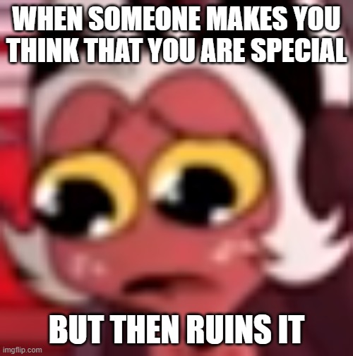meme | WHEN SOMEONE MAKES YOU THINK THAT YOU ARE SPECIAL; BUT THEN RUINS IT | image tagged in helluva boss | made w/ Imgflip meme maker