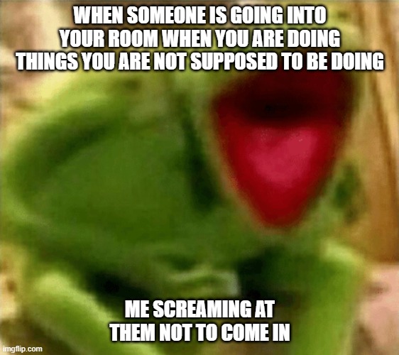 Crazed Kermit | WHEN SOMEONE IS GOING INTO YOUR ROOM WHEN YOU ARE DOING THINGS YOU ARE NOT SUPPOSED TO BE DOING; ME SCREAMING AT THEM NOT TO COME IN | image tagged in crazed kermit | made w/ Imgflip meme maker