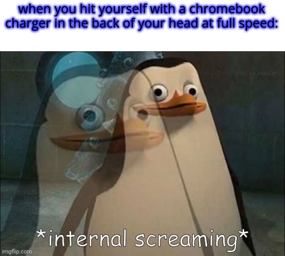 a meme based of a meme | when you hit yourself with a chromebook charger in the back of your head at full speed: | image tagged in private internal screaming | made w/ Imgflip meme maker