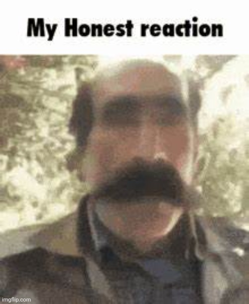 High Quality my honest reaction Blank Meme Template