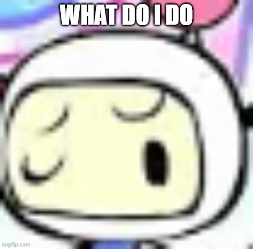 White Bomber with a confused face | WHAT DO I DO | image tagged in white bomber with a confused face | made w/ Imgflip meme maker