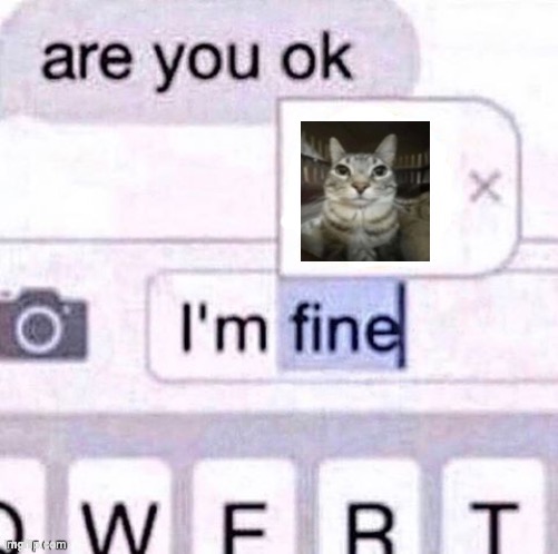 I’m fine meme | image tagged in i m fine meme | made w/ Imgflip meme maker