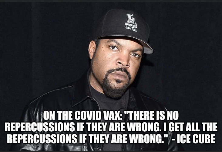 The smartest man in Hollywood. | ON THE COVID VAX: "THERE IS NO REPERCUSSIONS IF THEY ARE WRONG. I GET ALL THE REPERCUSSIONS IF THEY ARE WRONG."  - ICE CUBE | image tagged in memes,politics,ice cube,rap,hollywood,trending | made w/ Imgflip meme maker