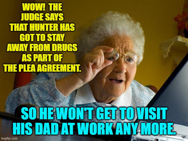 Thus leftists learn about . . . consequences. | WOW!  THE JUDGE SAYS THAT HUNTER HAS GOT TO STAY AWAY FROM DRUGS AS PART OF THE PLEA AGREEMENT. SO HE WON'T GET TO VISIT HIS DAD AT WORK ANY MORE. | image tagged in grandma finds the internet | made w/ Imgflip meme maker