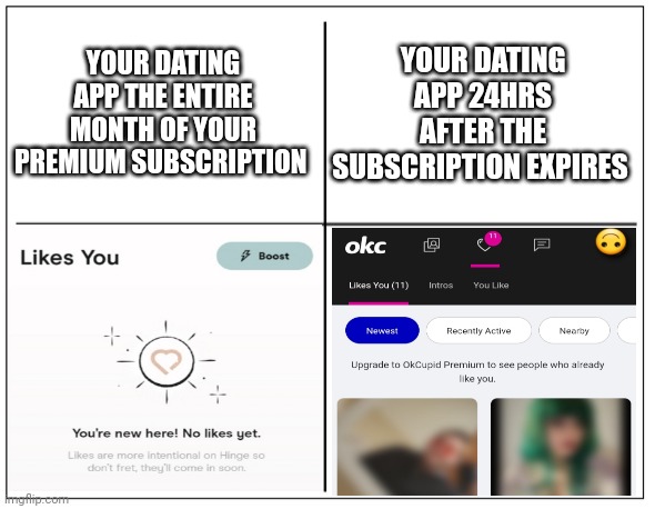 FML... | YOUR DATING APP THE ENTIRE MONTH OF YOUR PREMIUM SUBSCRIPTION; YOUR DATING APP 24HRS AFTER THE SUBSCRIPTION EXPIRES | image tagged in 4 square grid,okcupid,dating | made w/ Imgflip meme maker