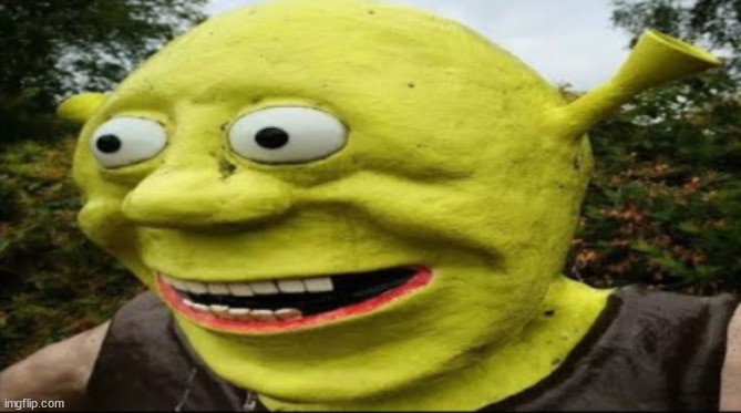 shrek nah bro | image tagged in shrek nah bro | made w/ Imgflip meme maker