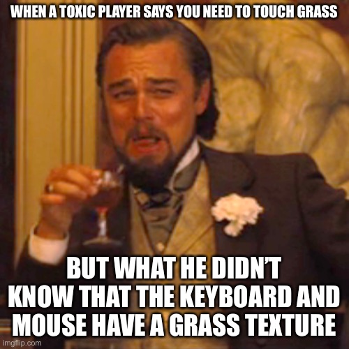He messed up | WHEN A TOXIC PLAYER SAYS YOU NEED TO TOUCH GRASS; BUT WHAT HE DIDN’T KNOW THAT THE KEYBOARD AND MOUSE HAVE A GRASS TEXTURE | image tagged in memes,laughing leo | made w/ Imgflip meme maker