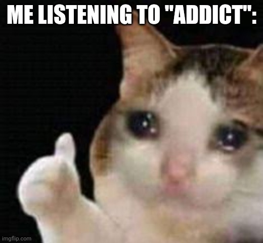 Bro,I cry when I hear that song | ME LISTENING TO "ADDICT": | image tagged in approved crying cat | made w/ Imgflip meme maker