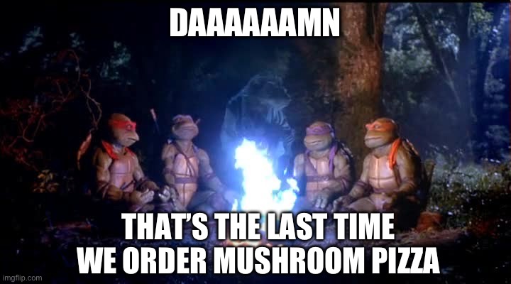 Turtle ‘Shrooms | DAAAAAAMN; THAT’S THE LAST TIME WE ORDER MUSHROOM PIZZA | image tagged in splinter vision,teenage mutant ninja turtles,magic mushrooms,splinter,shrooms,funny memes | made w/ Imgflip meme maker