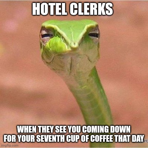 Do you really need that cup of coffee??? | HOTEL CLERKS; WHEN THEY SEE YOU COMING DOWN FOR YOUR SEVENTH CUP OF COFFEE THAT DAY | image tagged in snek blank,coffee,coffee addict,jpfan102504 | made w/ Imgflip meme maker