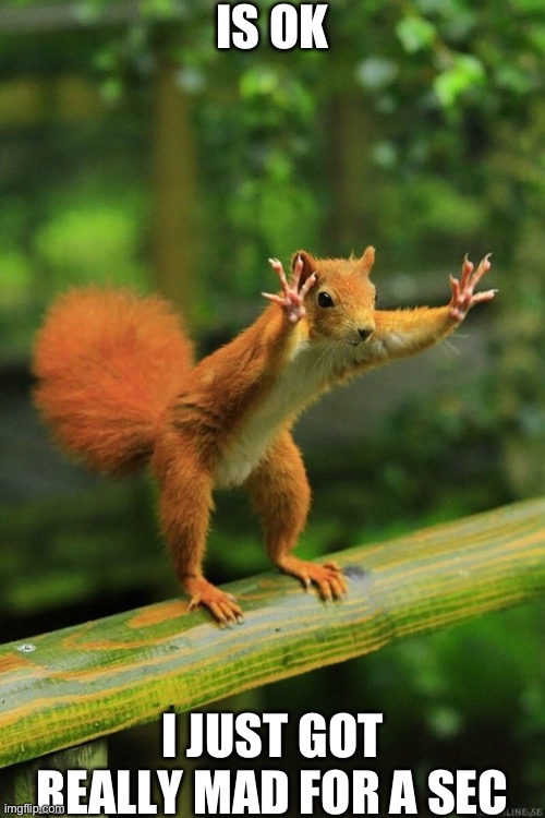 Wait a Minute Squirrel | IS OK I JUST GOT REALLY MAD FOR A SEC | image tagged in wait a minute squirrel | made w/ Imgflip meme maker