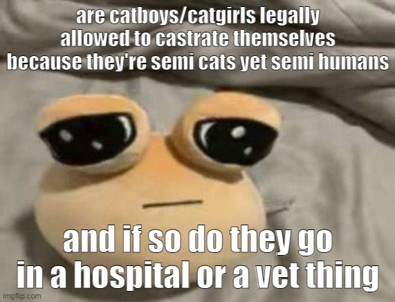 start arguing about this | are catboys/catgirls legally allowed to castrate themselves because they're semi cats yet semi humans; and if so do they go in a hospital or a vet thing | image tagged in pou | made w/ Imgflip meme maker