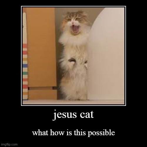 BE JESUS! | jesus cat | what how is this possible | image tagged in funny,demotivationals | made w/ Imgflip demotivational maker
