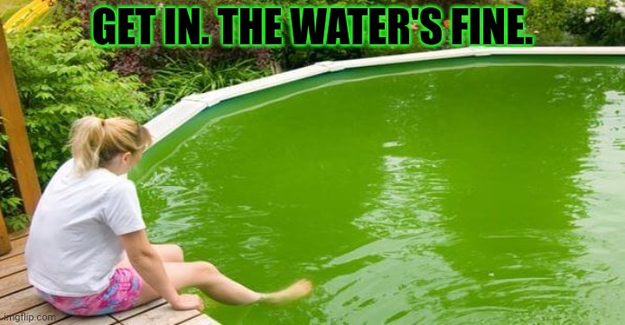Get in the pool | GET IN. THE WATER'S FINE. | image tagged in stop worrying,whats the worst,that could,happen,pool party | made w/ Imgflip meme maker