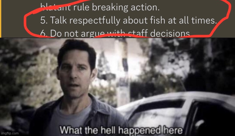 Questionable rule... | image tagged in what the hell happened here | made w/ Imgflip meme maker
